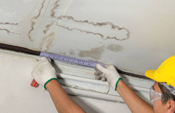 Reliable Mold Remediation contractor in Woodbury, TN by Water Damage Irwin